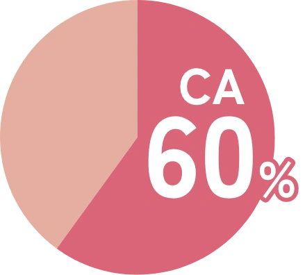 2023年度CA志望者CA内定率 60%